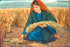 www-St-Takla-org--Bible-Slides-ruth-694   Ruth gleaning